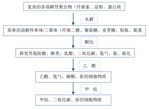 厭氧反應(yīng)流程圖-華夏經(jīng)緯市場(chǎng)調(diào)查公司